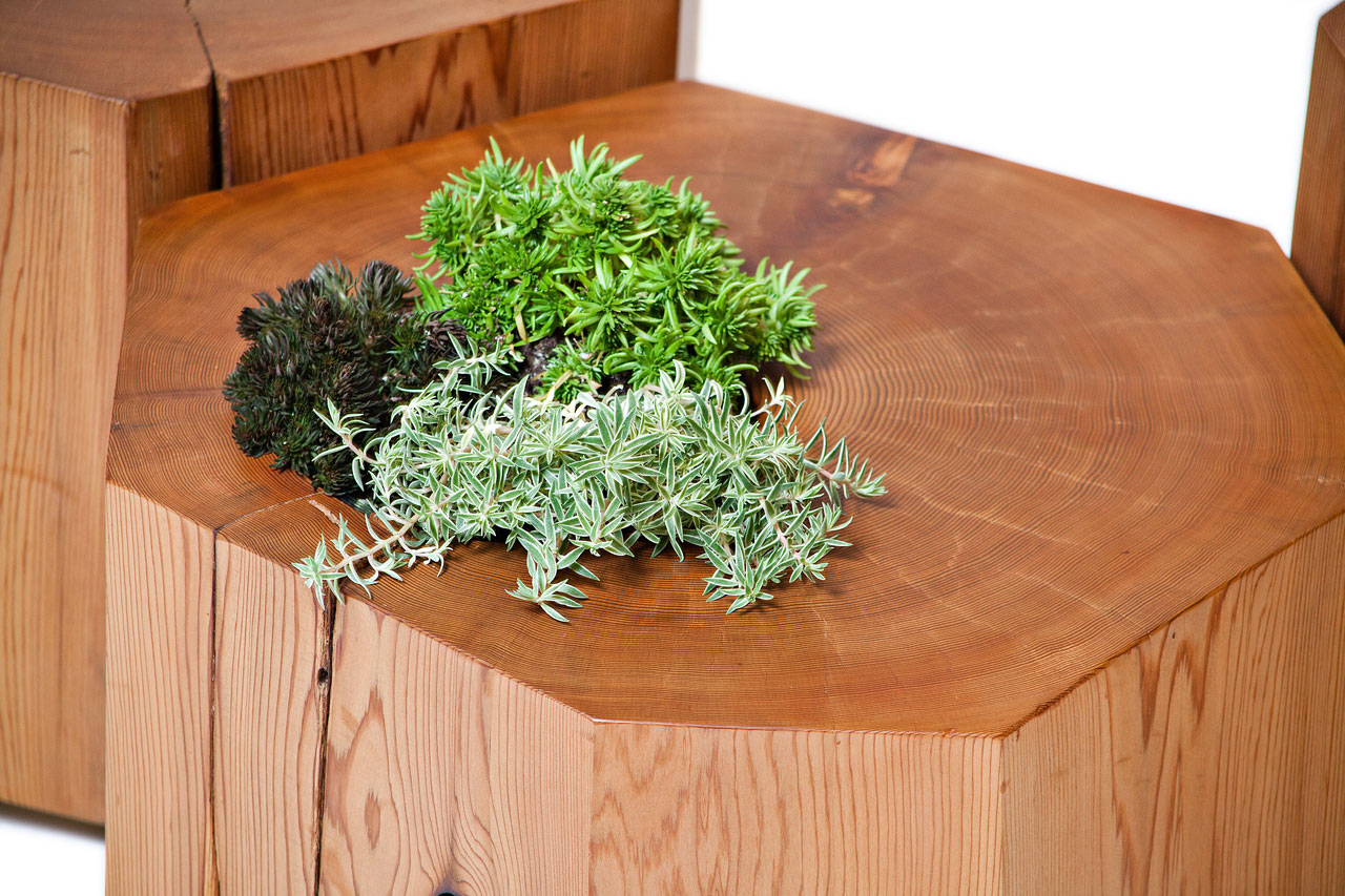Nurselog Planter Detail